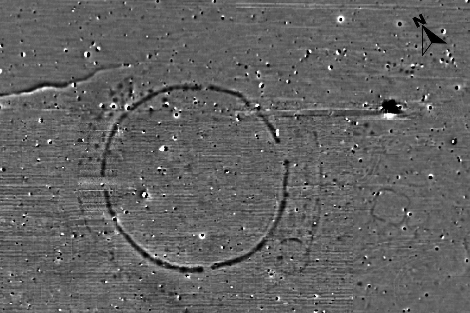 Magnetogram of the circular ditched enclosure of Pömmelte-Zackmünde and the surrounding area.