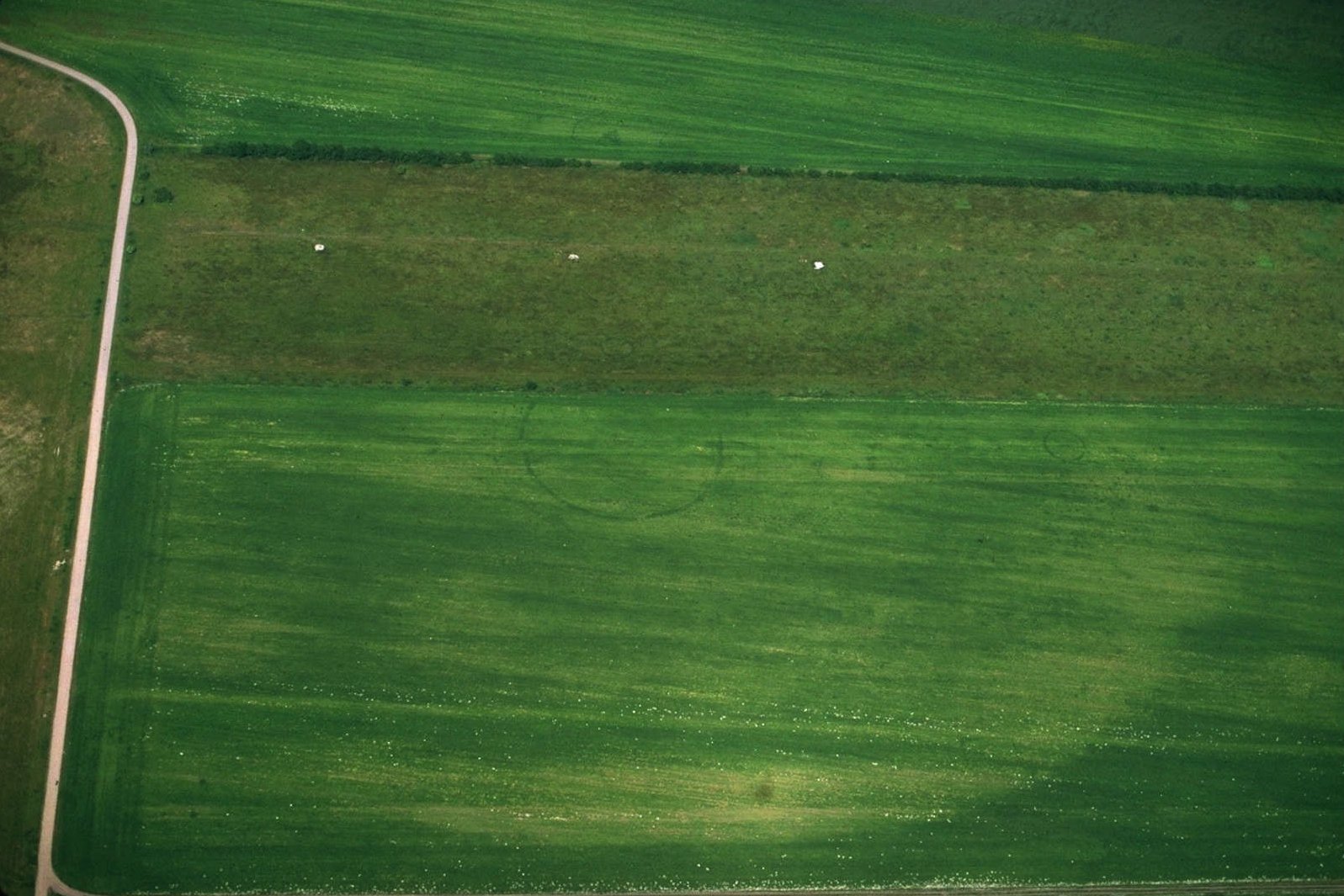 Aerial view of the Pömmelte circular ditched enclosure. © LDA, photo: Ralf Schwarz.